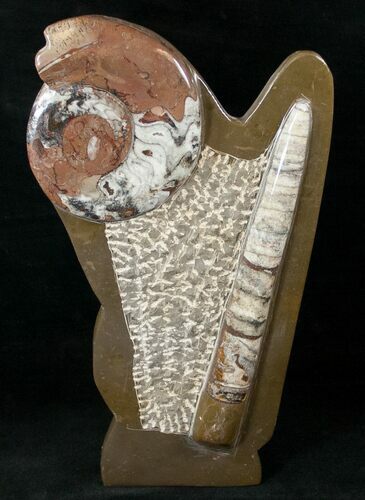 Fossil Goniatite & Orthoceras Sculpture - #14598